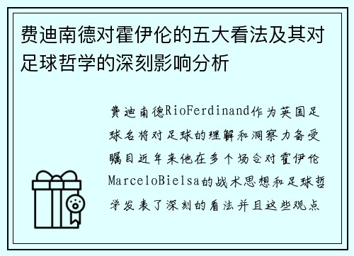 费迪南德对霍伊伦的五大看法及其对足球哲学的深刻影响分析